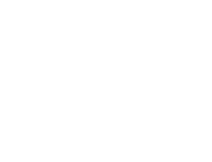 AZCONSEIL